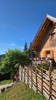 Almhaus Bettina - 9