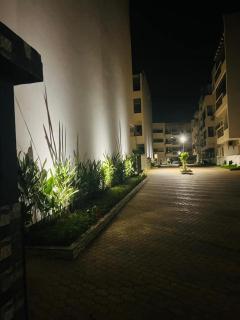 oisis beach - 4