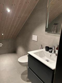 Sirdal Ålsheia Moderne Hytte i Naturskjønne Omgivelser - 7