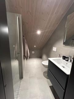 Sirdal Ålsheia Moderne Hytte i Naturskjønne Omgivelser - 8