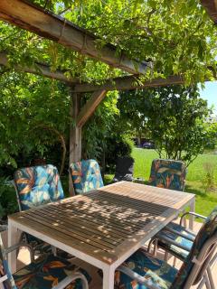Naturjuwel mit Garten und Terrasse - Saxer Lücke - 9