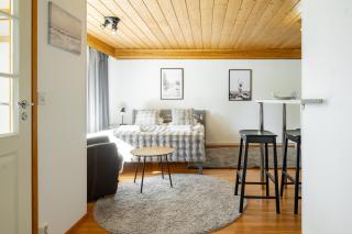 Arctic Pine Studio, Parking By Lapland Host - Rovaniemi - 7