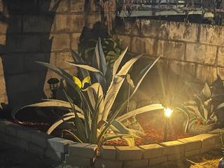 Comfortable cozy home - 1