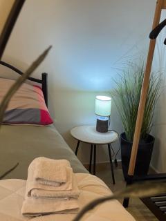 Premium 2 BR Apartment - 5