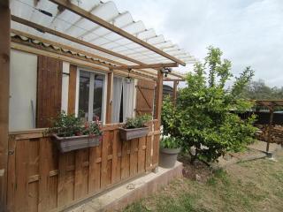 Les orangers - 8