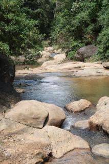 Brook Heaven Homestay - 9