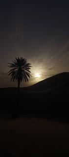Itri Luxury Desert Camp - 3
