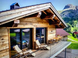 Design chalet with terrace - 0