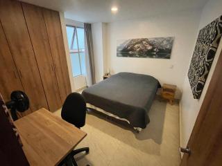 2BD Laureles, Sauna Cold Plunge 400MB Wifi 2 Desks - 4