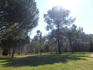 Les Pins Perdus - Saint-Ciers-dʼAbzac - 1