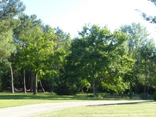 Les Pins Perdus - Saint-Ciers-dʼAbzac - 2