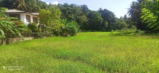 Summerfield - Kandy - 9