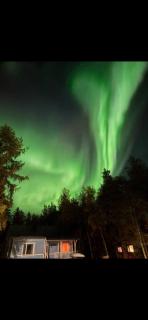 Traditional Finnish Lapland house at wild forest backyard! - 8