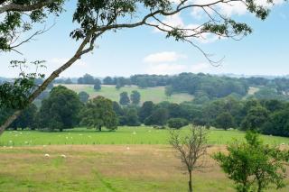 1 Bed in Hawkhurst oc-cb665 - 3