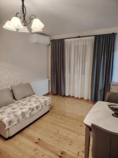 Apartment in Tbilisi SOSO - 1