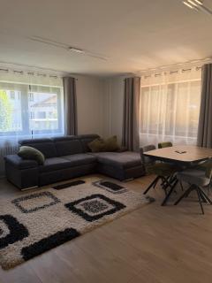 Ruhig und modern Sauna, Donau und Wald in Reichweite - 9