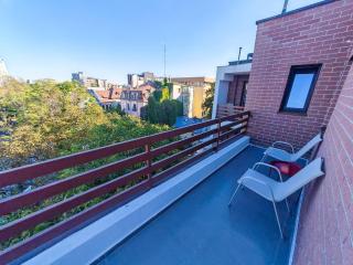 Brand-New 3BR central Penthouse-3 Terraces - 8