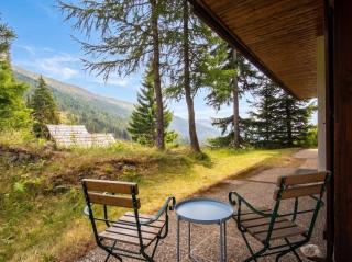 Laerchenblick Apartment am Katschberg - 9