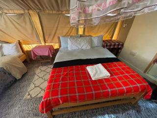 Samara Wild Camp - Maasai Mara - Sekenani - 3