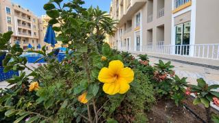 hurghada hub resort - 6