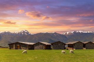 Black Bean Cafe & Wild Retreat - Shangri La - Where Tibetan Heritage Meets Untamed Wilderness - Round-trip Shuttle Service to Dukezong Ancient Town & Airport or TS - 3