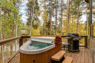 Hot Tub & Ski Shuttle: Rustic Breckenridge Retreat - 9