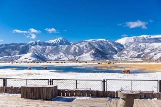 Black Bean Cafe & Wild Retreat - Shangri La - Where Tibetan Heritage Meets Untamed Wilderness - Round-trip Shuttle Service to Dukezong Ancient Town & Airport or TS - 1