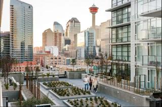 Downtown Calgary Modern 1BR with Pullout couch - 4