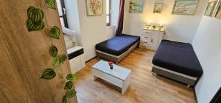 Művész Apartman - 5