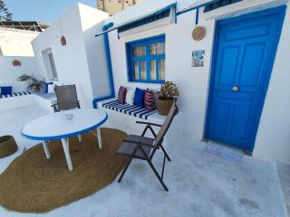 Mediterranean Escape with Sea View in Sidi Bou Saïd - 0