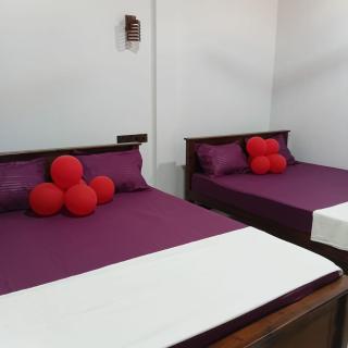 Thineja Holiday Resort Polonnaruwa - 4