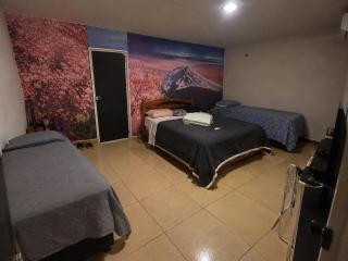 Hostel Santos Dumont - 5