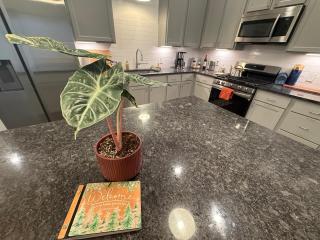 NEW Intoku Loft 2bed 2ba Blocks from Mass - 2