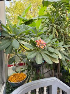 Modern Thai Vintage Place Living - 8