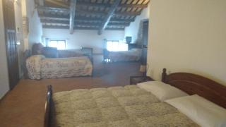 Villa Asiola - Villa Vicentina - 3