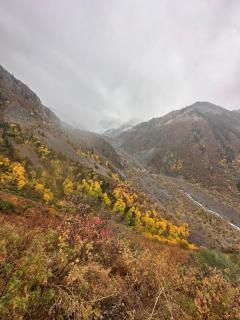 Mountain View - 7