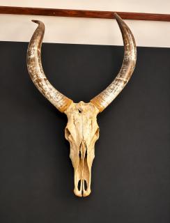 House of Vikings A Nordic-Inspired 2BR in Nyali - 5