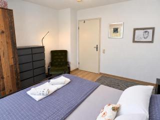Waldshut Apartment with Balcony & Kitchen - 9