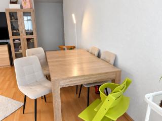 Waldshut Apartment with Balcony & Kitchen - 4