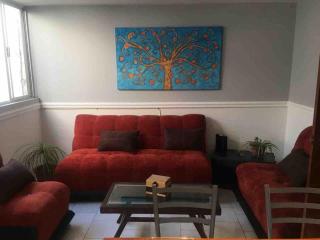 Depa 1 rec in Lomas nearby University Area - 6