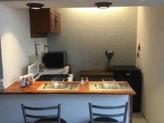 Depa 1 rec in Lomas nearby University Area - 3