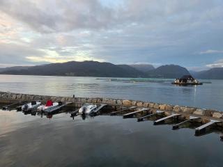 Sea breeze Waterfront Cabin Skanevik Fjordhytter - Mortveit - 1
