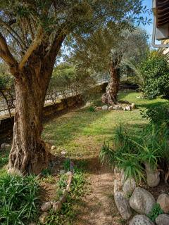 Villa Giovanna B&B - 7