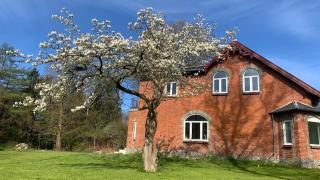 Relax in North Zealand in this cozy house - 9