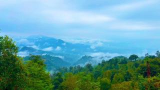 Himalaya Homestay - 0