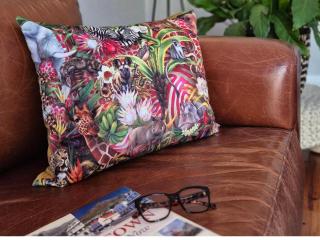 Cactusberry Guesthouse - Cape Town - 6