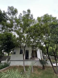 White Forest Cottage - 5