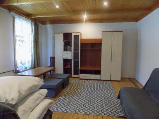 Trzy Izby, apartament przy skoczni i centrum - Zakopane - 1