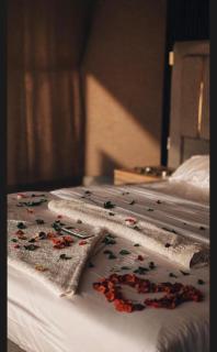 Stella Luxury Camp - 5