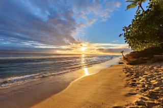 Lahaina Roads 407 - 9